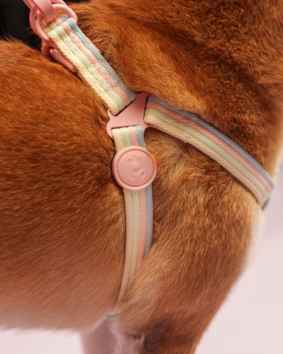 PETSVILLE Afternoon Tea Series Collar Harness Set with Leash