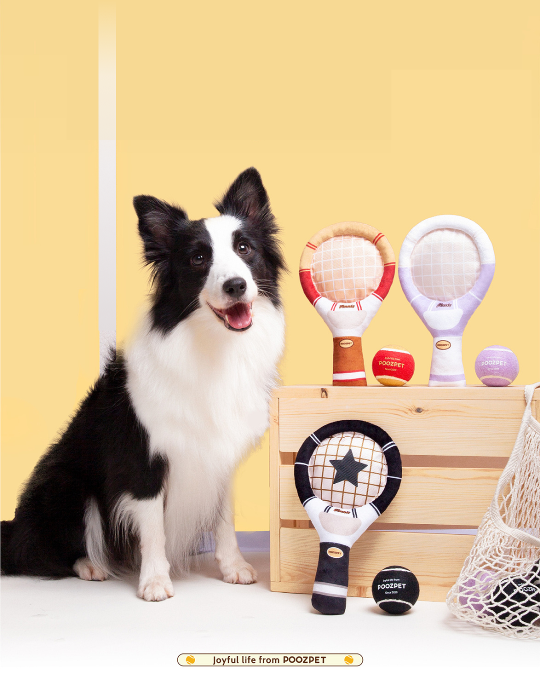 POOZPET Interactive Tennis Racket for Pets