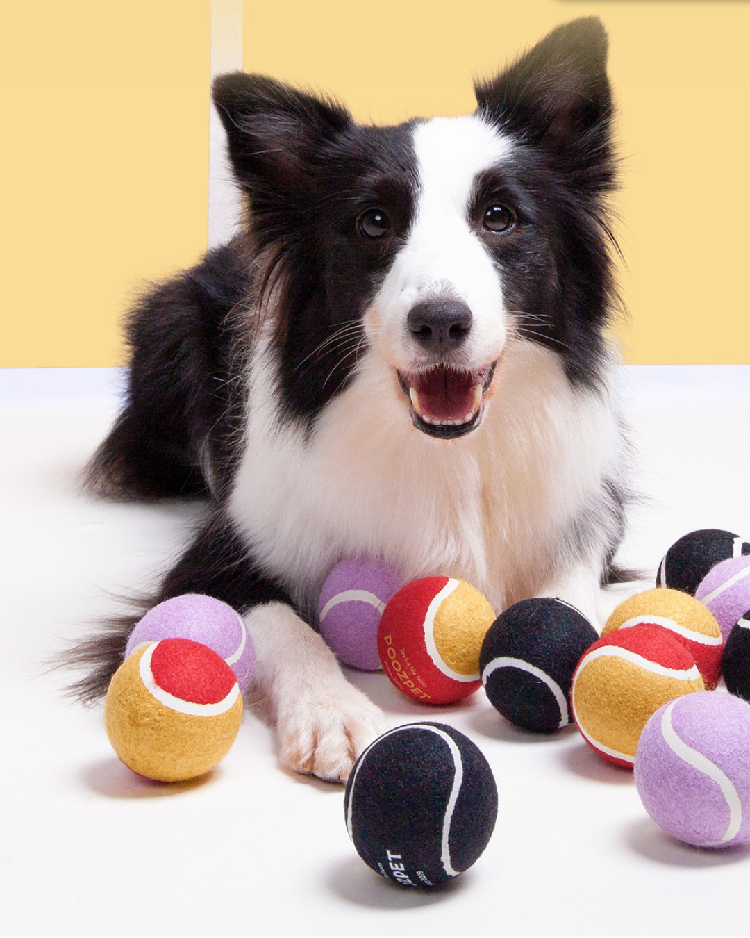 POOZPET Interactive Tennis Racket for Pets