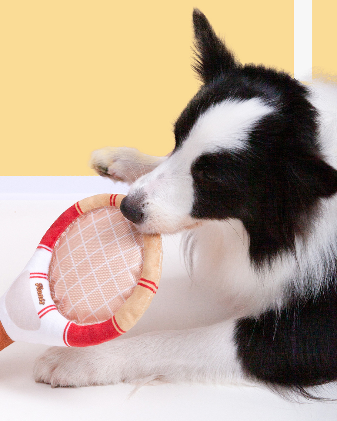 POOZPET Interactive Tennis Racket for Pets