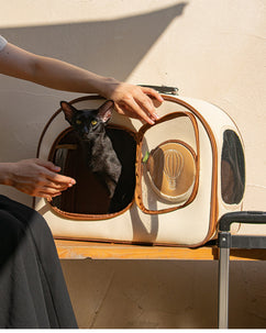 hover image