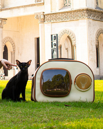 Pet TV Suitcase Backpack Stroller