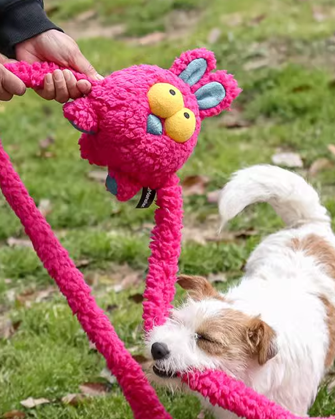 Qmonster Fluffy Rabbit Plush Dog Toy